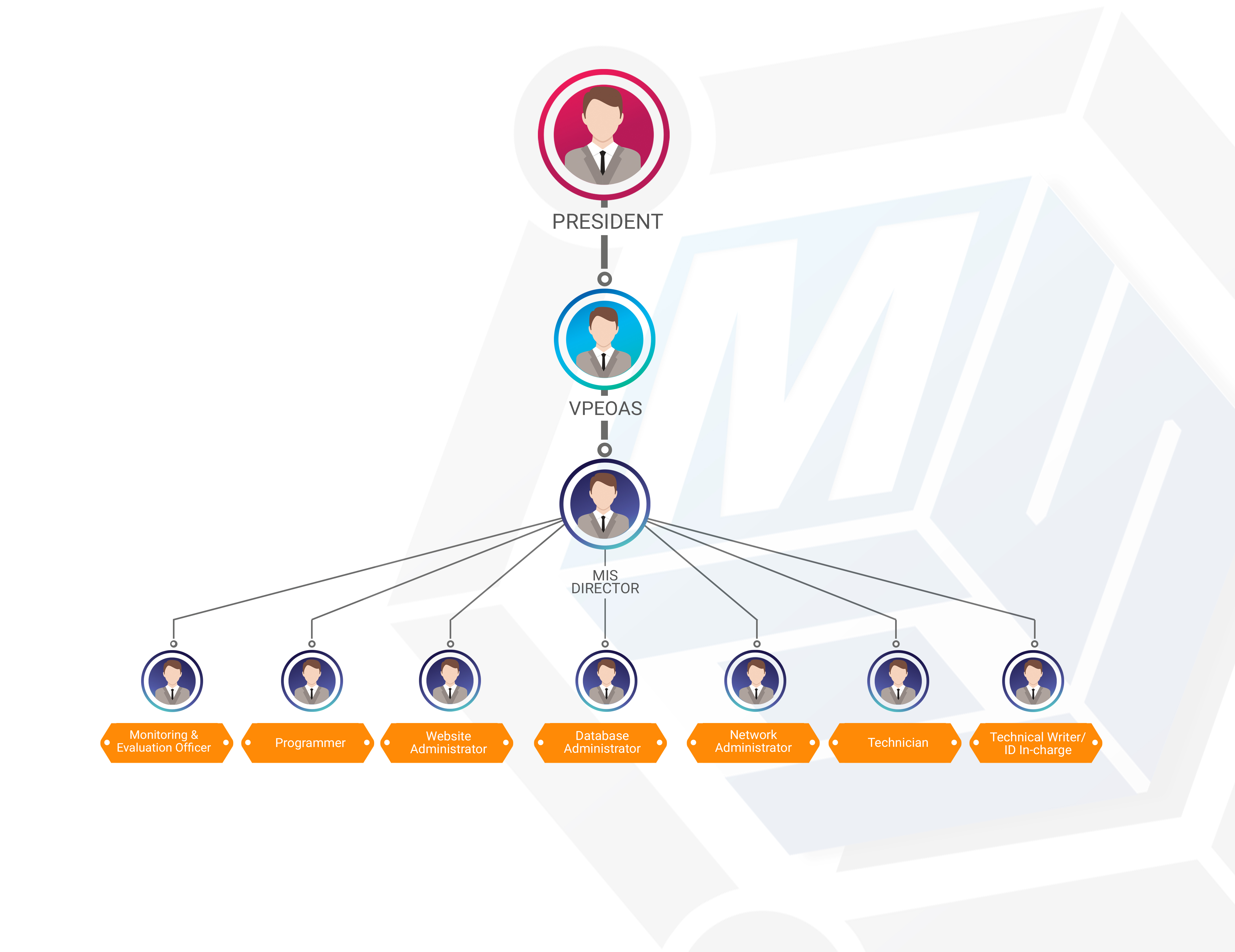 MIS Org Structure