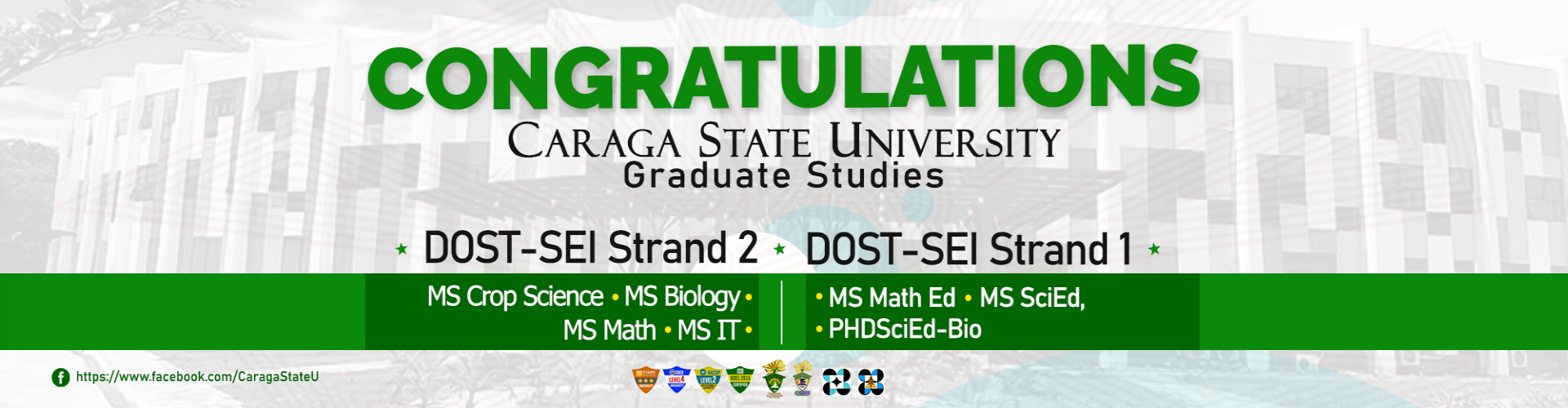 CSU DOST-SEI Strand