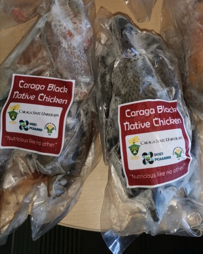 DOST Secretary Commends CSU’s Native Black Chicken Project