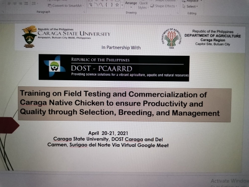 DOST Secretary Commends CSU’s Native Black Chicken Project