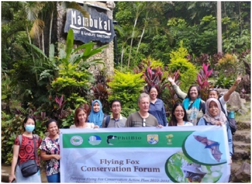 CSU Faculty-Researchers Collaborate with Flying Fox Conservation in Southeast Asia