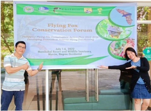 CSU Faculty-Researchers Collaborate with Flying Fox Conservation in Southeast Asia