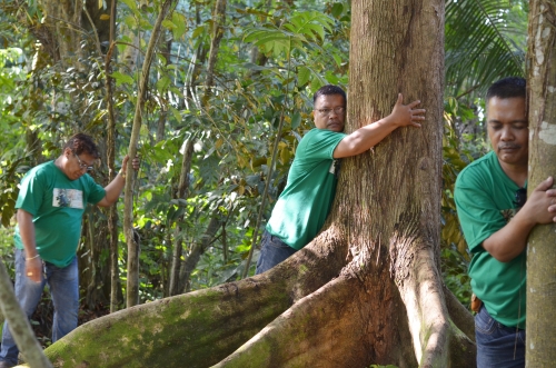 CSU Alumni Advocate Forest Bathing, Tree Hugging, and Trash Picking