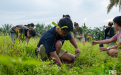 CSU propels environmental responsibility, sustainability on World Environment Day