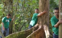 CSU Alumni Advocate Forest Bathing, Tree Hugging, and Trash Picking