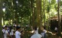 2019 Balik-Butuan Butuanons Plant and Hug Trees in CSU