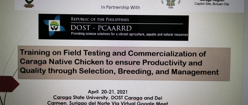 DOST Secretary Commends CSU’s Native Black Chicken Project