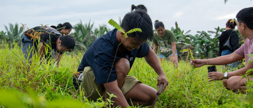 CSU propels environmental responsibility, sustainability on World Environment Day