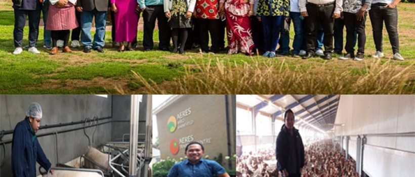 Agriculture Faculty in Netherlands for Pig Husbandry and Animal Feed Training