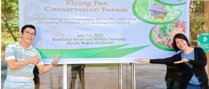 CSU Faculty-Researchers Collaborate with Flying Fox Conservation in Southeast Asia