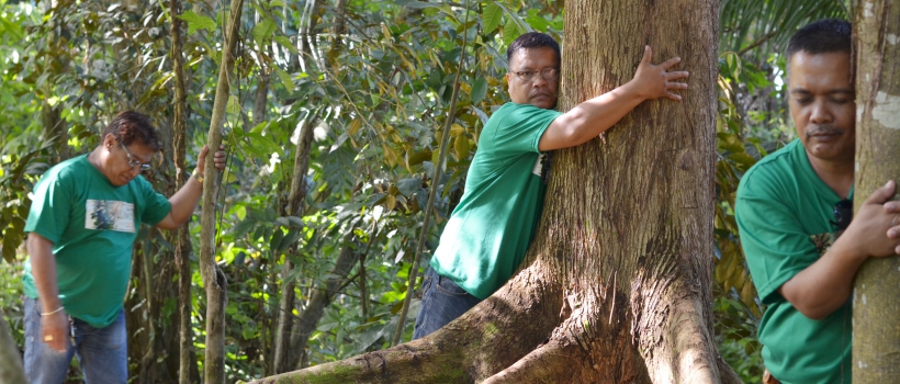 CSU Alumni Advocate Forest Bathing, Tree Hugging, and Trash Picking