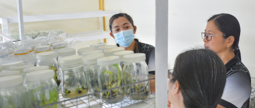 CSU shares best practices with SUCs, partners