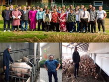  Agriculture Faculty in Netherlands for Pig Husbandry and Animal Feed Training
