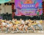 Pagkani 2022